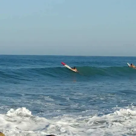 Hotel Aphrodite Beachfront Official 3*