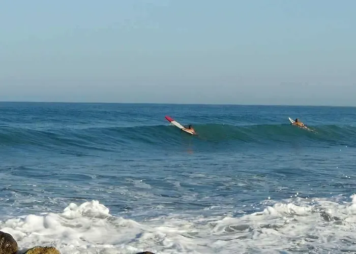 Hotel Aphrodite Beachfront Official 3*