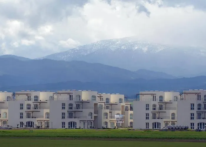 Hotel Aphrodite Beachfront Official Ghaziveran